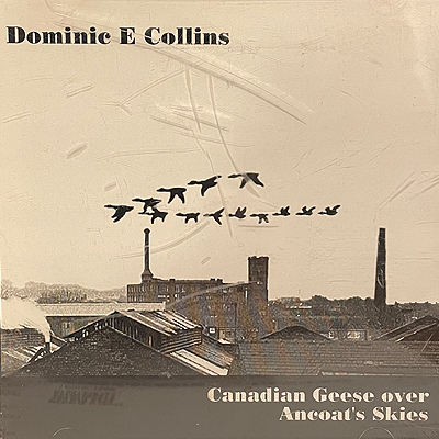 Canadian geese over Ancoats 'skies - CD DOM COLLINS